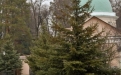 Ухоженные дорожки в монастыре